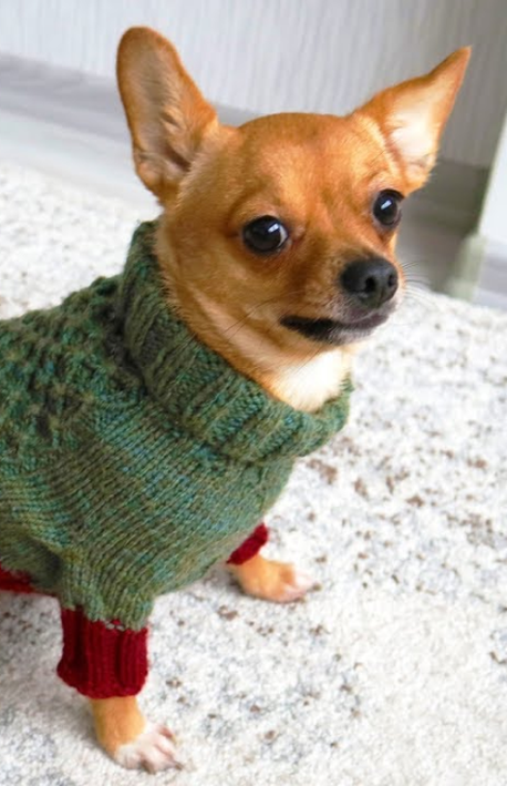 Seamless Dog Sweater